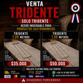 Solo tridente de Acero Inoxidable